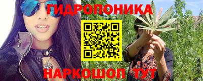 дживик Будённовск
