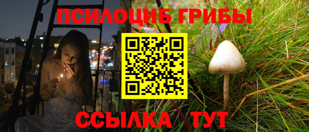 Галлюциногенные грибы мухоморы  Псилоцибиновые грибы прущие грибы  Вход с VPN  Белорецк 