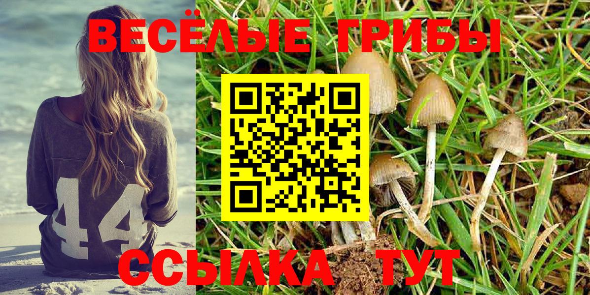 Псилоцибиновые грибы GOLDEN TEACHER Белорецк